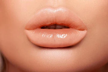 Crown Collection - Lip Gloss